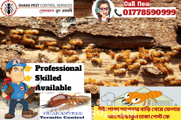 pest control & cleaning service